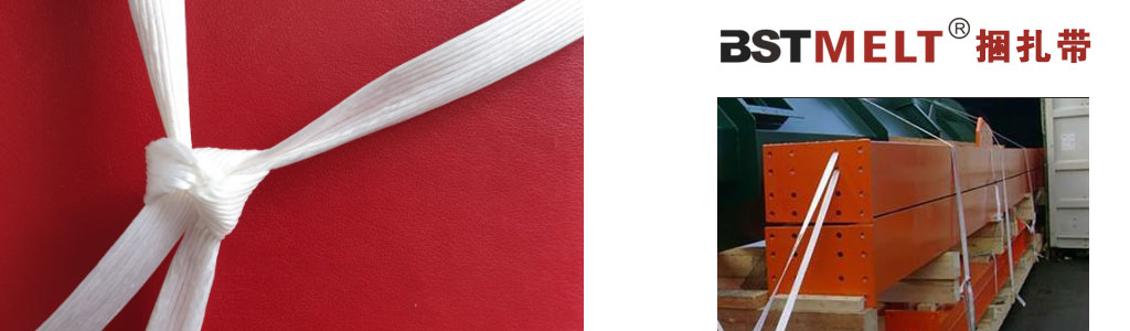 Baler Strap